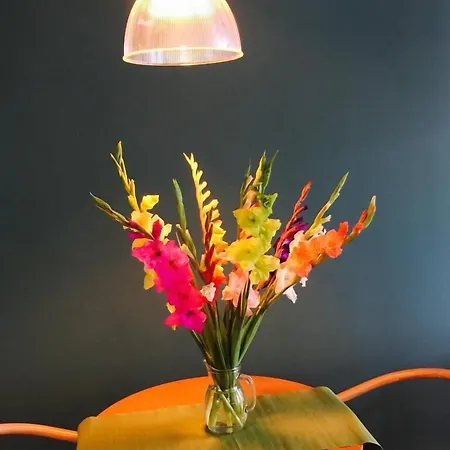 La Dolce & D'hotes La Rochelle (Charente-Maritime)