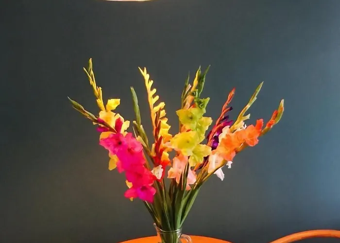 La Dolce & D'hotes La Rochelle (Charente-Maritime)